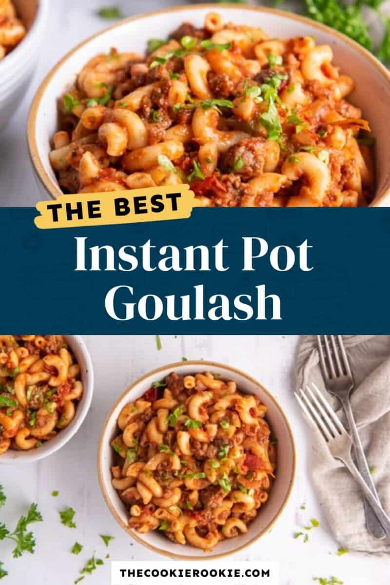 instant pot goulash pinterest
