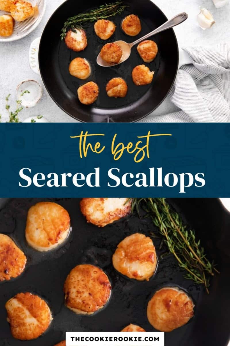 seared scallops pinterest
