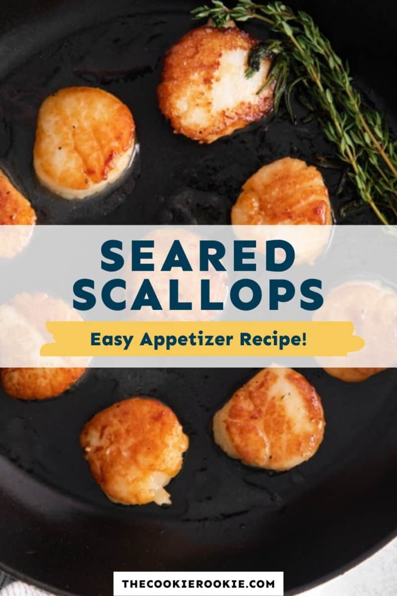 seared scallops pinterest
