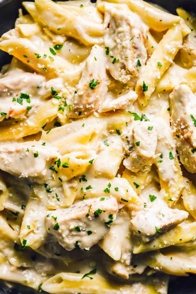 up close image of crockpot chicken alfredo