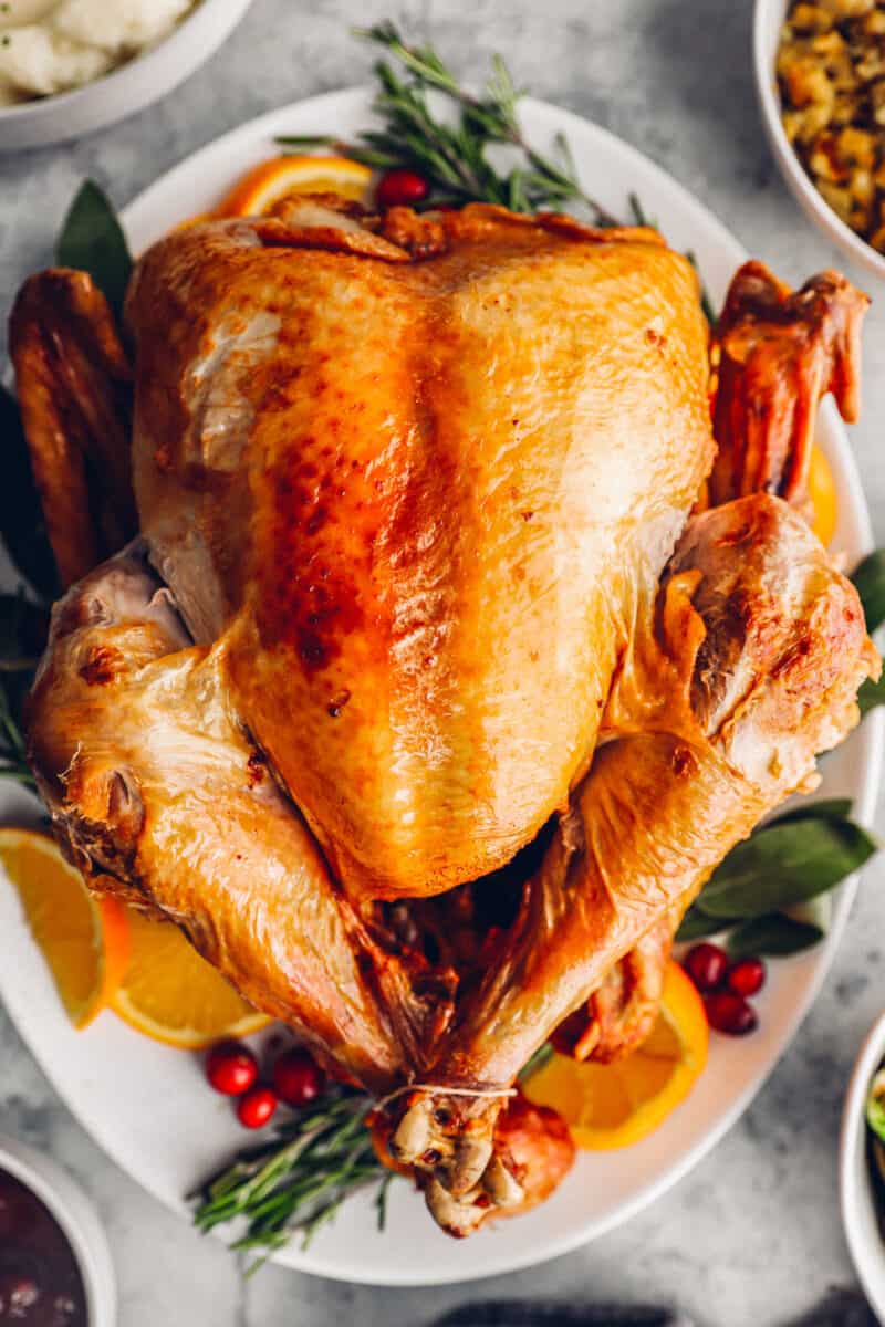 deep fried turkey on a white serving plate.