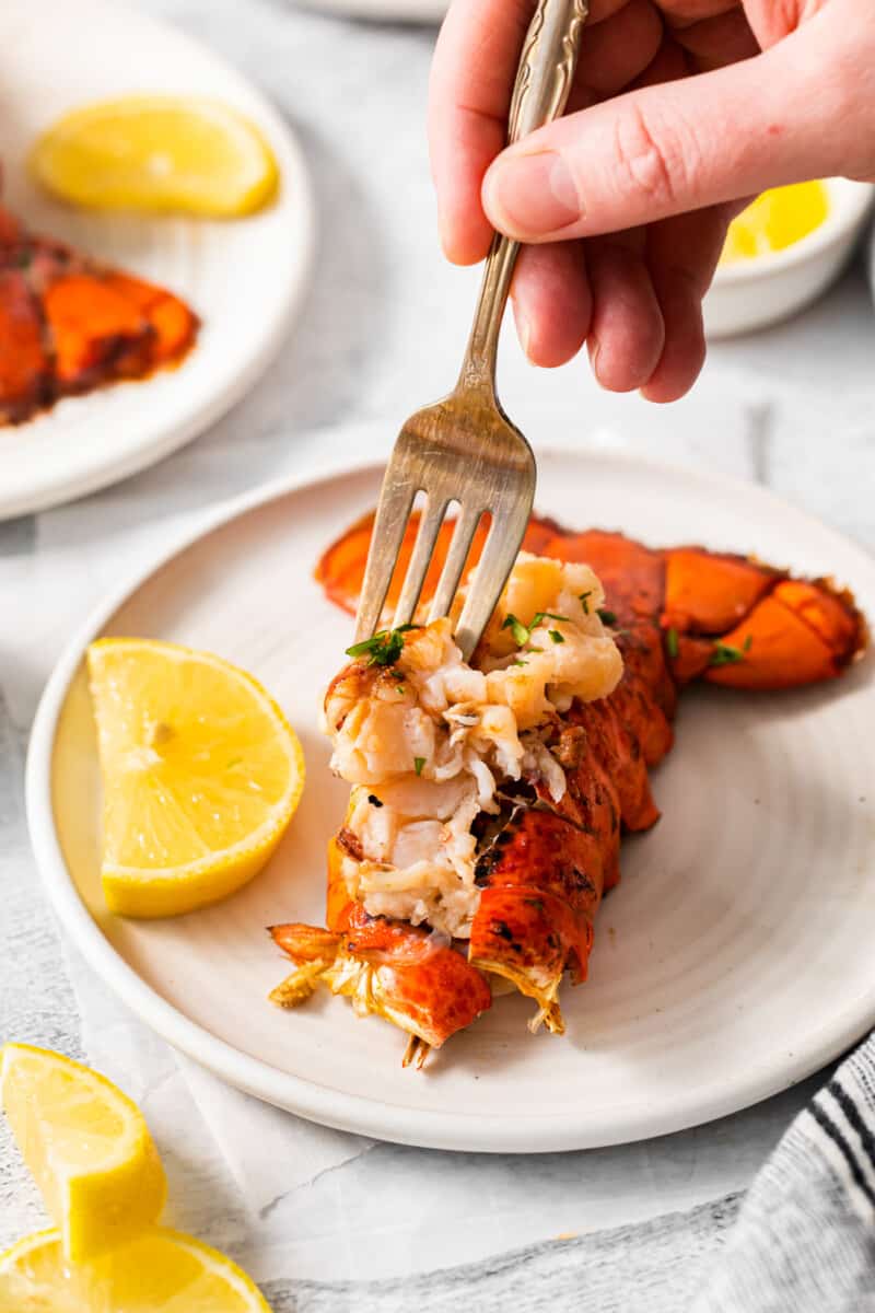 a forkful of lobster meat suspended above a lobster tail on a white plate.