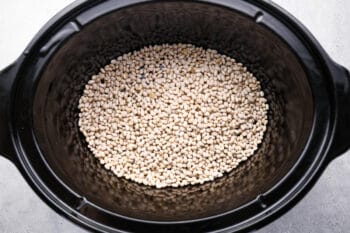 dried navy beans in a crockpot.