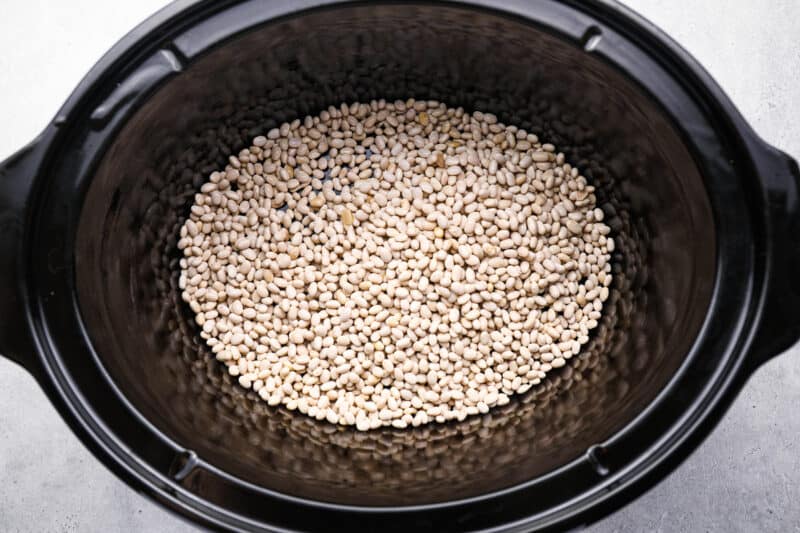 dried navy beans in a crockpot.
