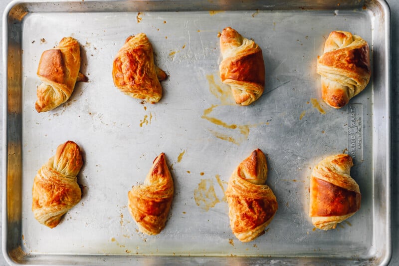 8 baked croissants on a baking sheet.