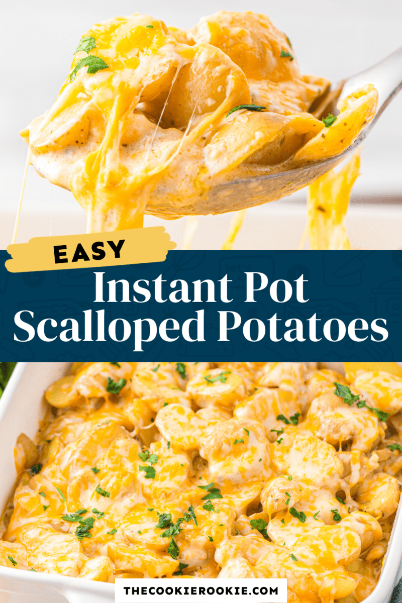 instant pot scalloped potatoes pinterest