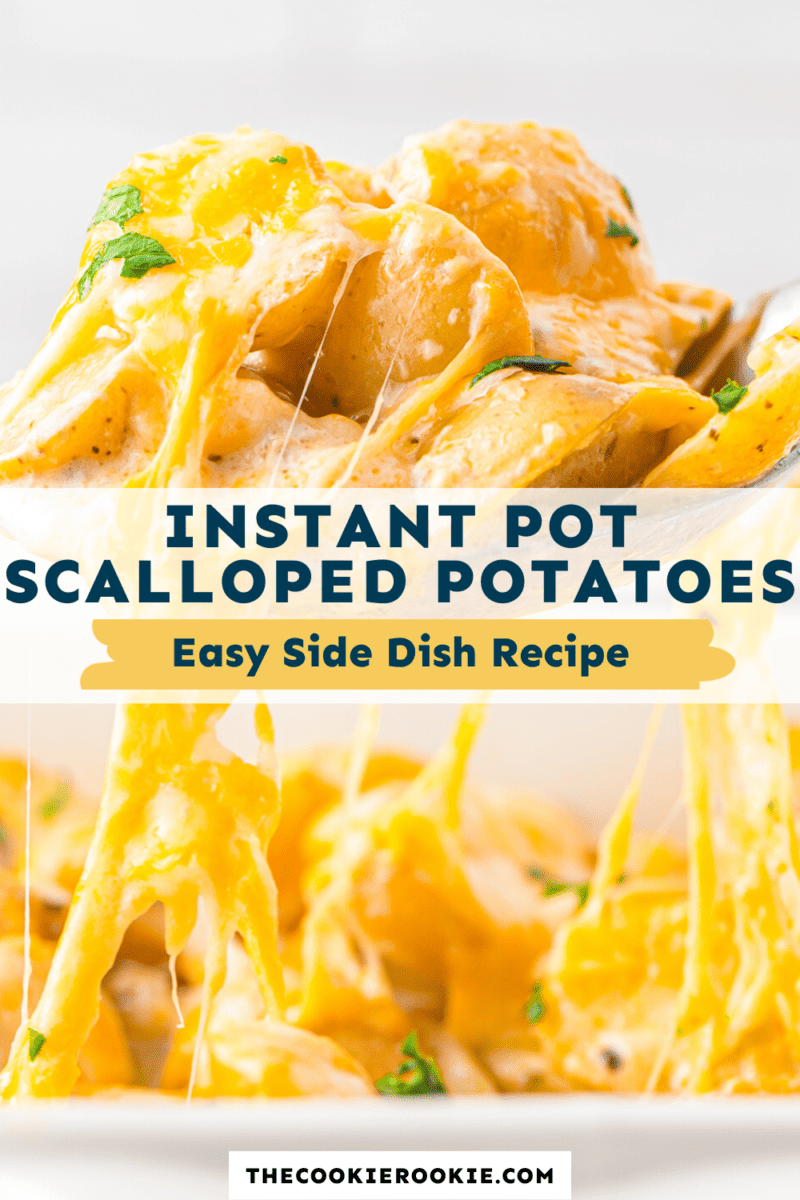 instant pot scalloped potatoes pinterest