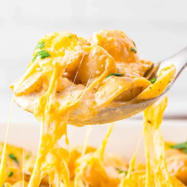 close up of instant pot scalloped potatoes lifted from a baking dish by a spoon.