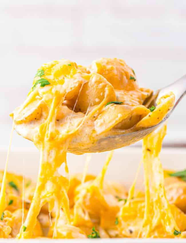 close up of instant pot scalloped potatoes lifted from a baking dish by a spoon.