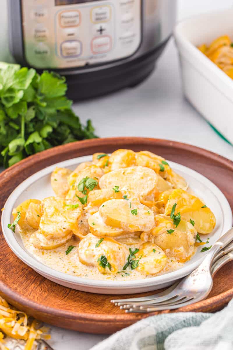 instant pot scalloped potatoes on a white plate.