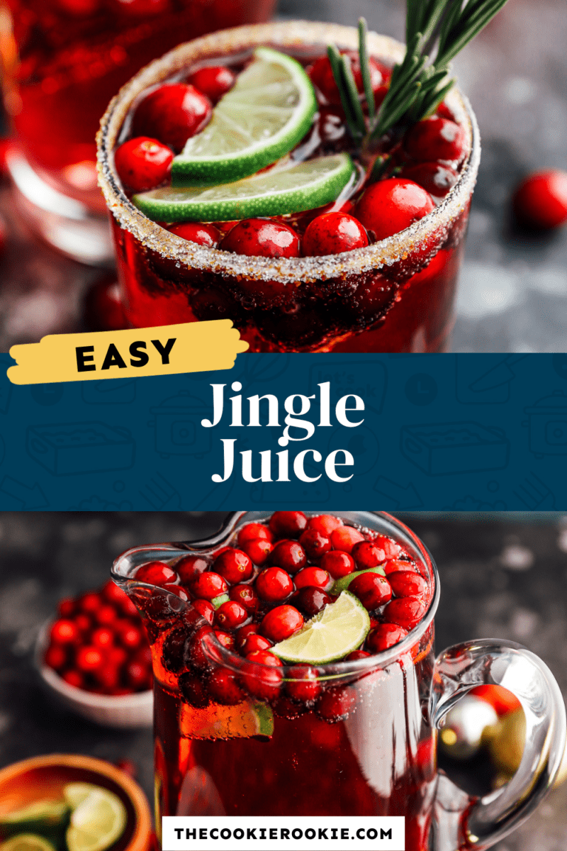 Jingle Juice Recipe The Cookie Rookie