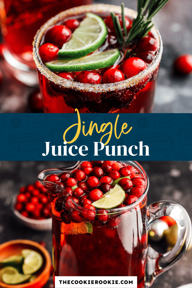 Jingle Juice Recipe - 31