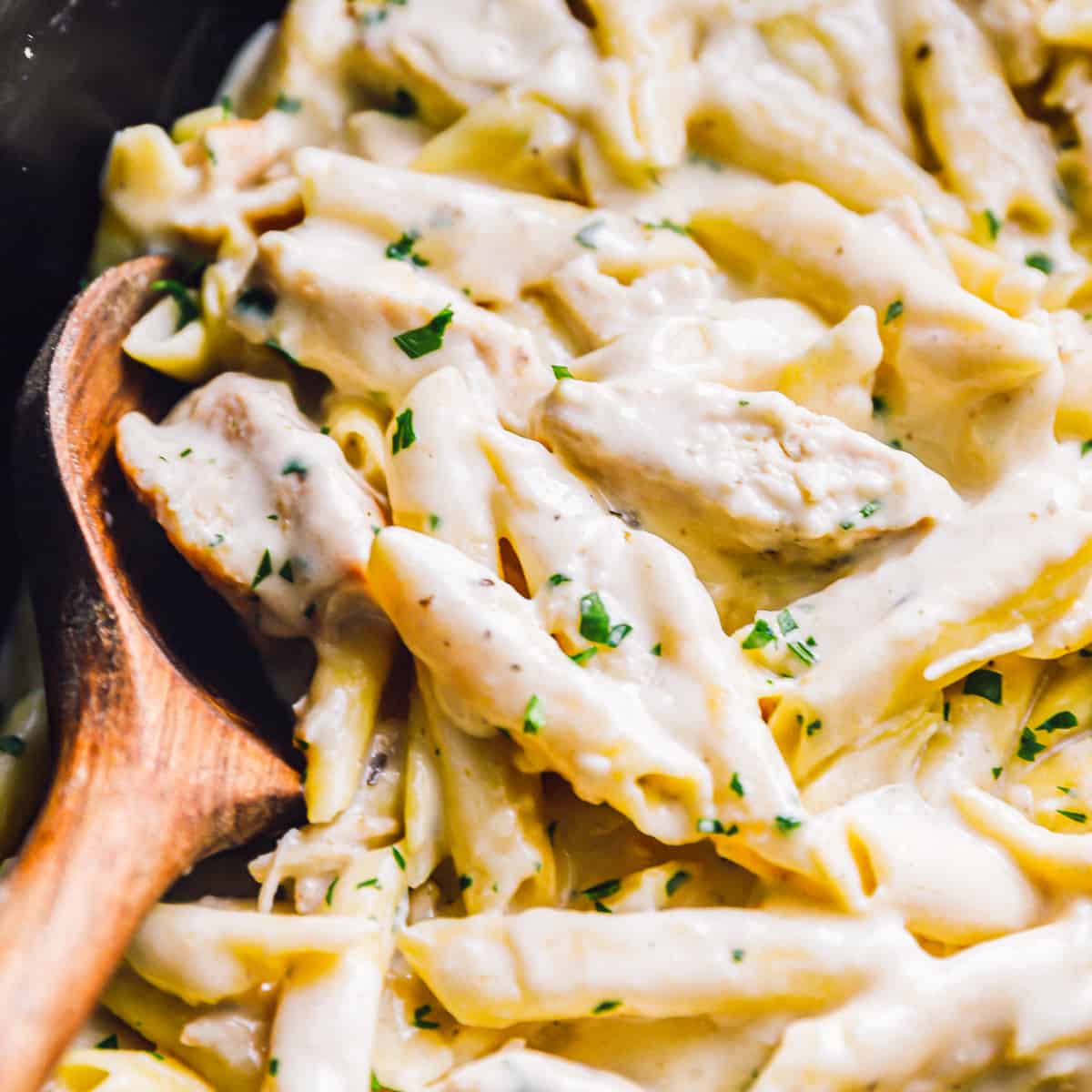 Crockpot Chicken Alfredo Recipe - The Cookie Rookie®