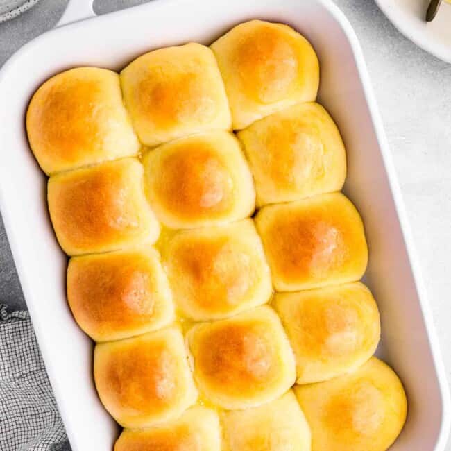 featured dinner rolls.