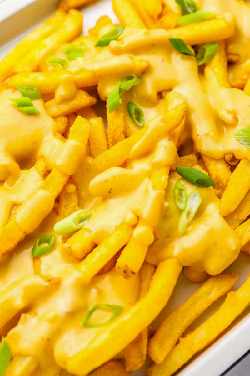 close up view of cheese fries on a white rectangular serving dish.