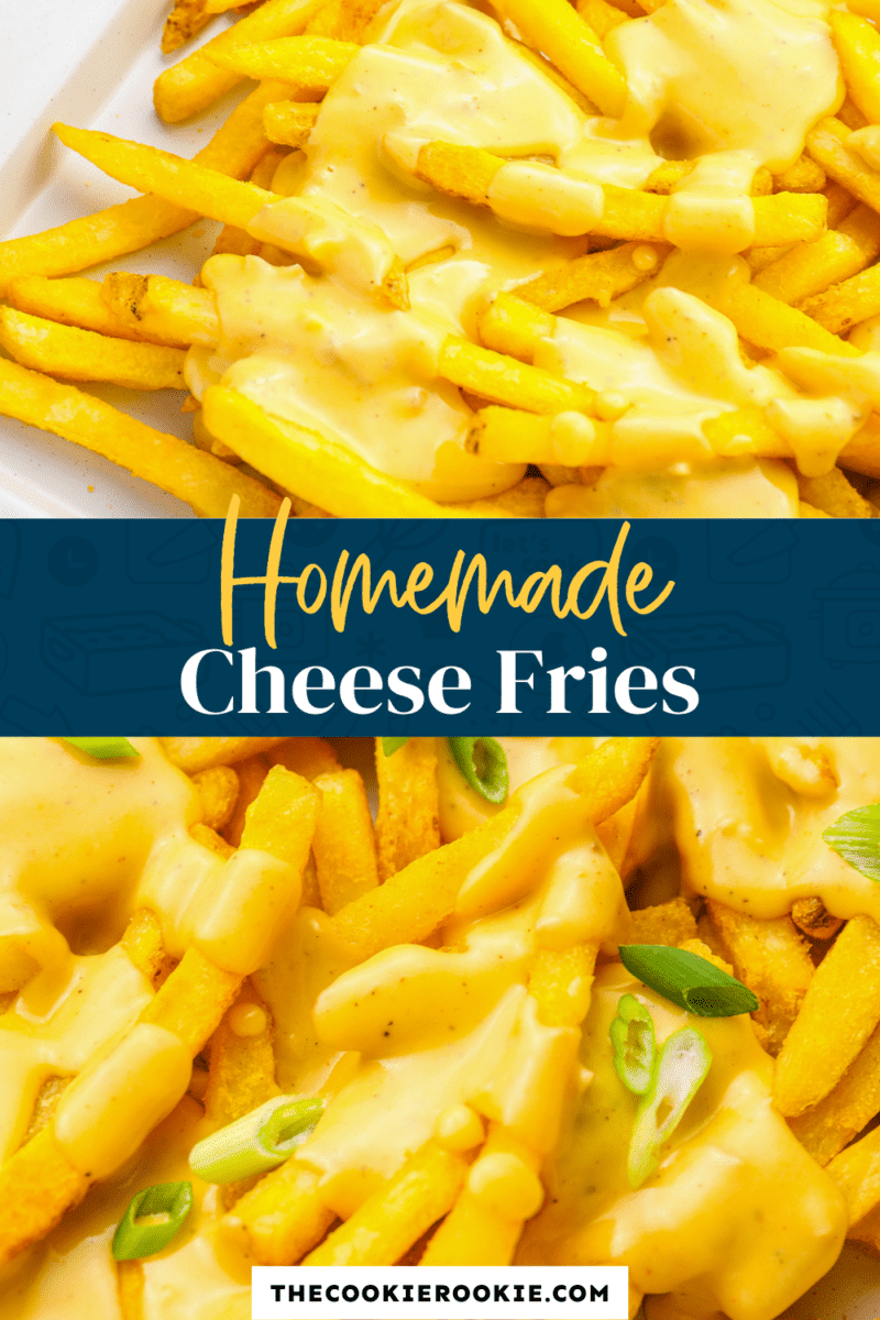 cheese fries pinterest