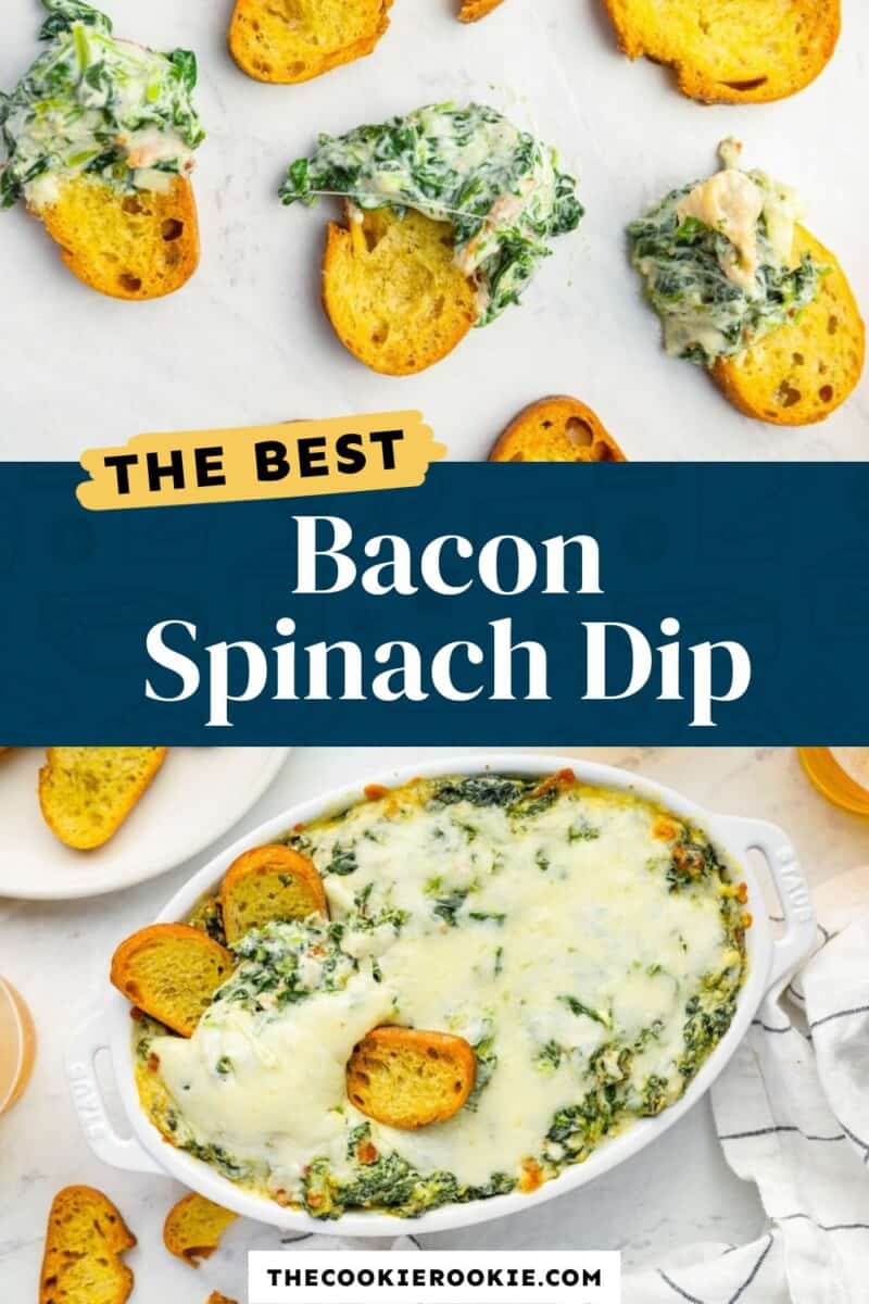 bacon spinach dip pinterest