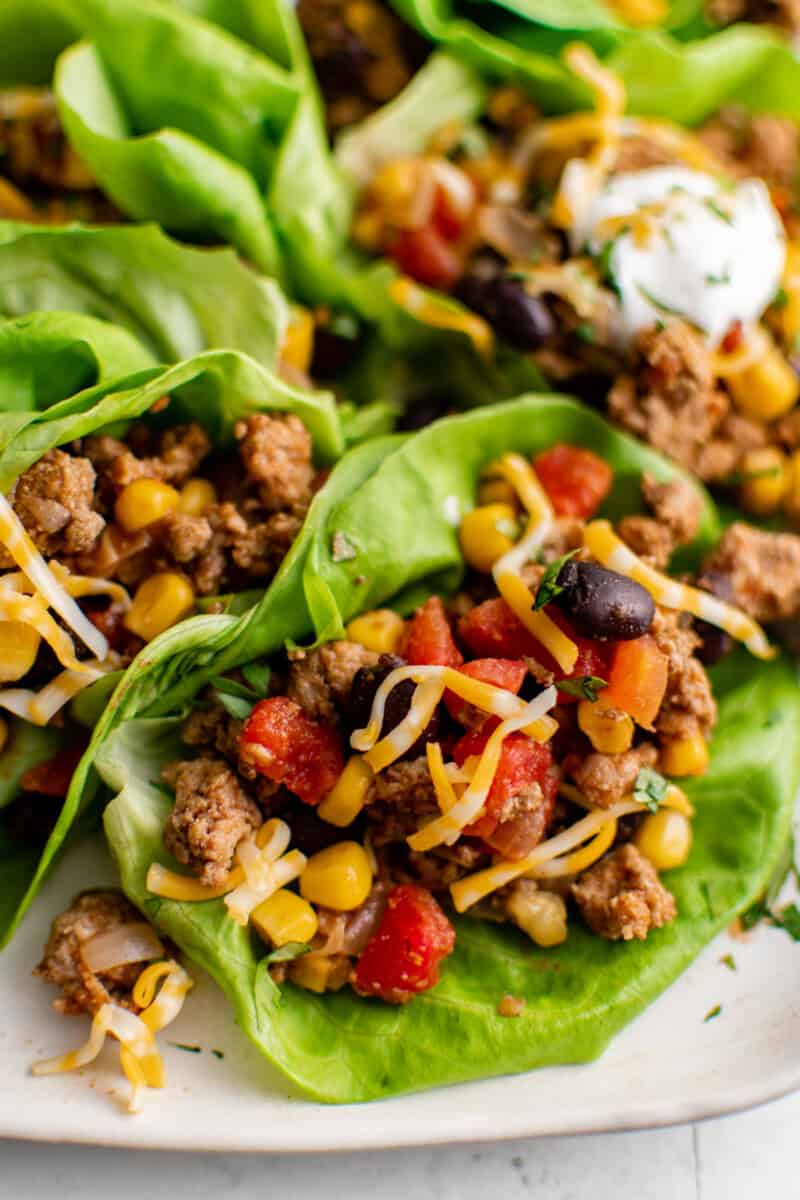 close up of taco lettuce wraps on a white plate.