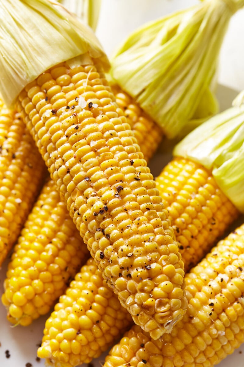 close up of 5 ears of corn on the cob with their husks tied back.