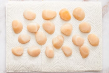 overhead view of raw scallops on parchment paper.