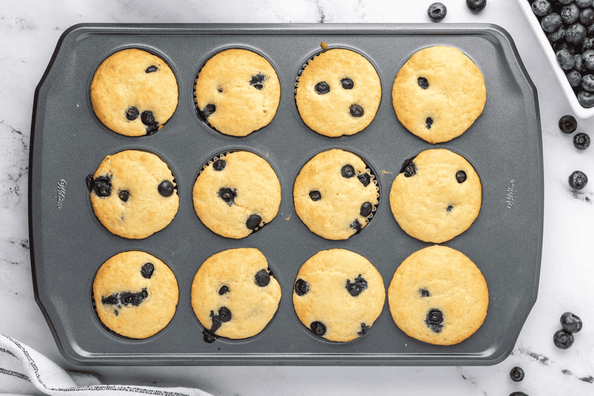 Baked blueberry muffins in a muffin tray.