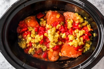 overhead view of ingredients for crockpot chicken tacos in a crockpot.