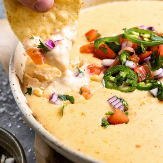 48+ Cheese Dip Recipes - The Cookie Rookie