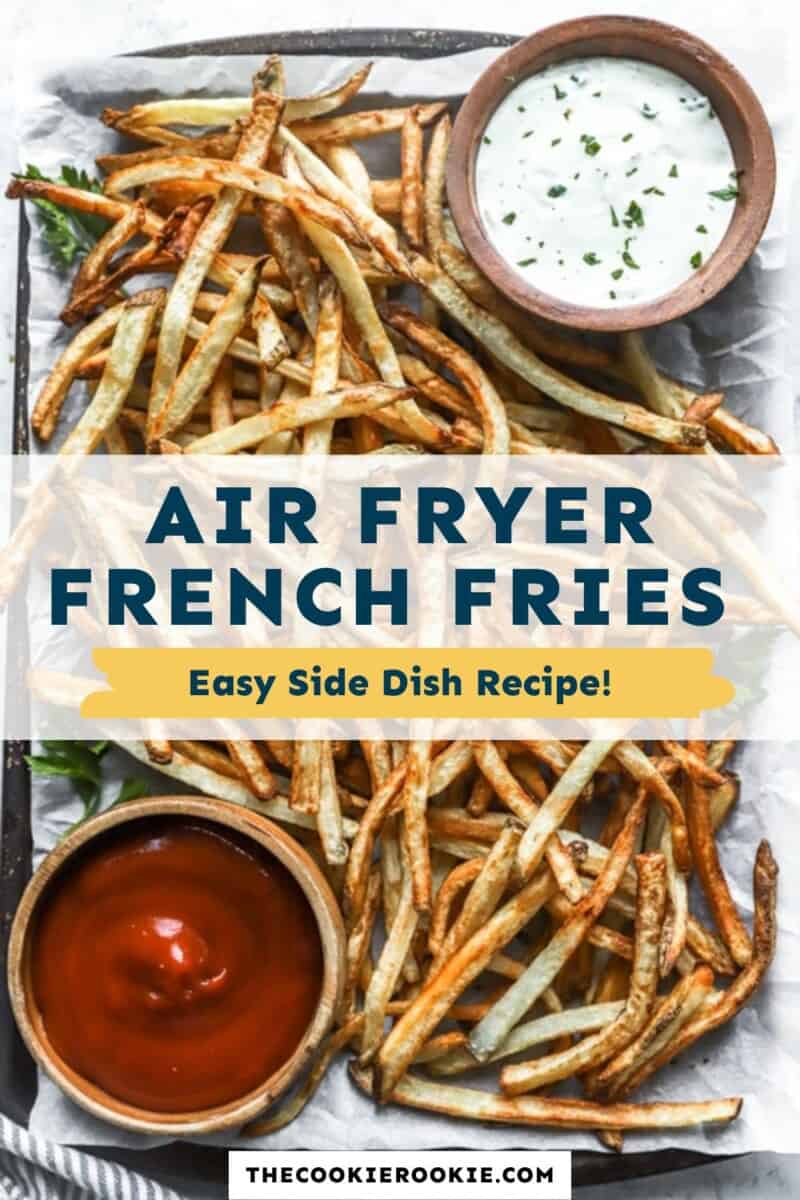 air fryer French fries pinterest