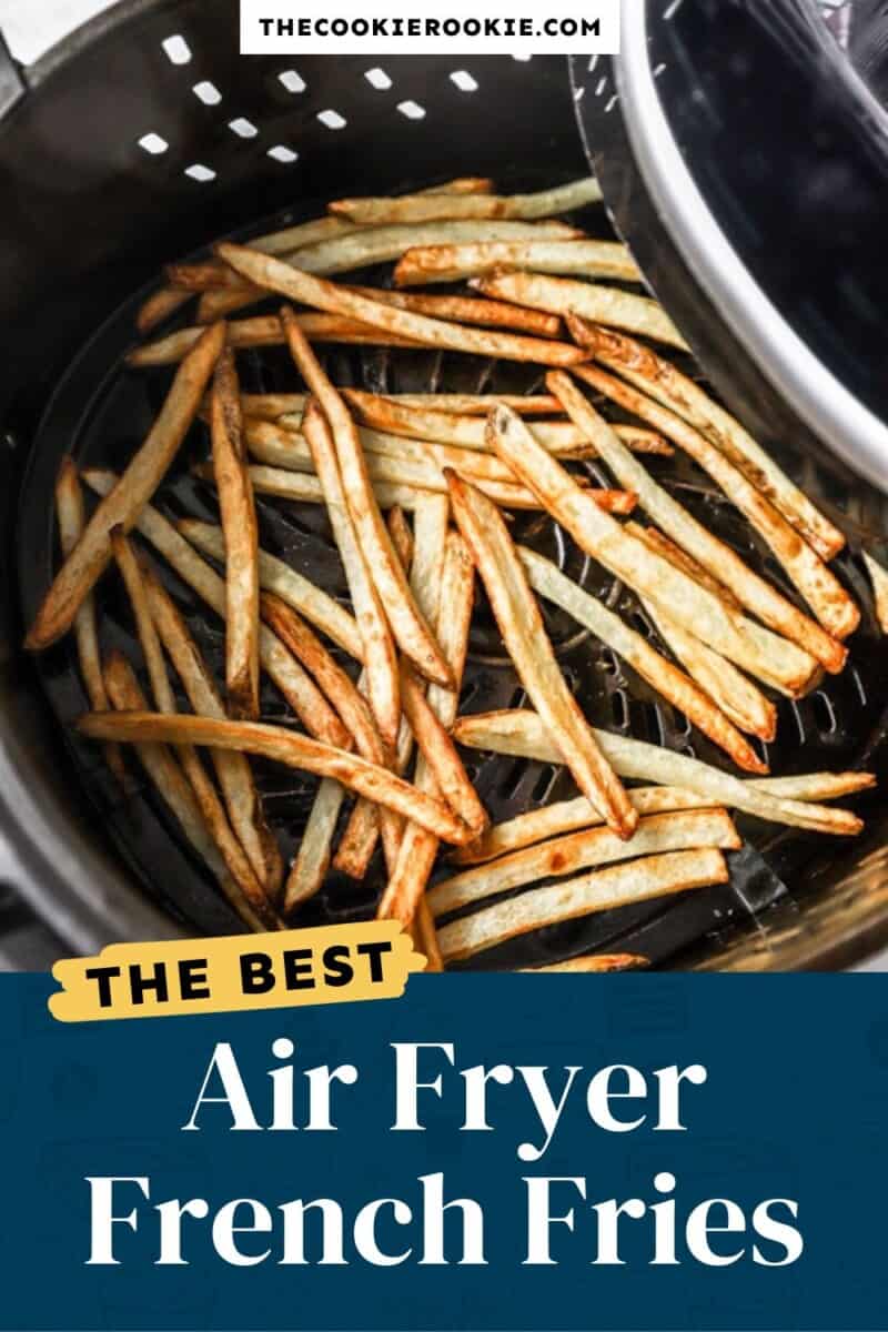 air fryer French fries pinterest