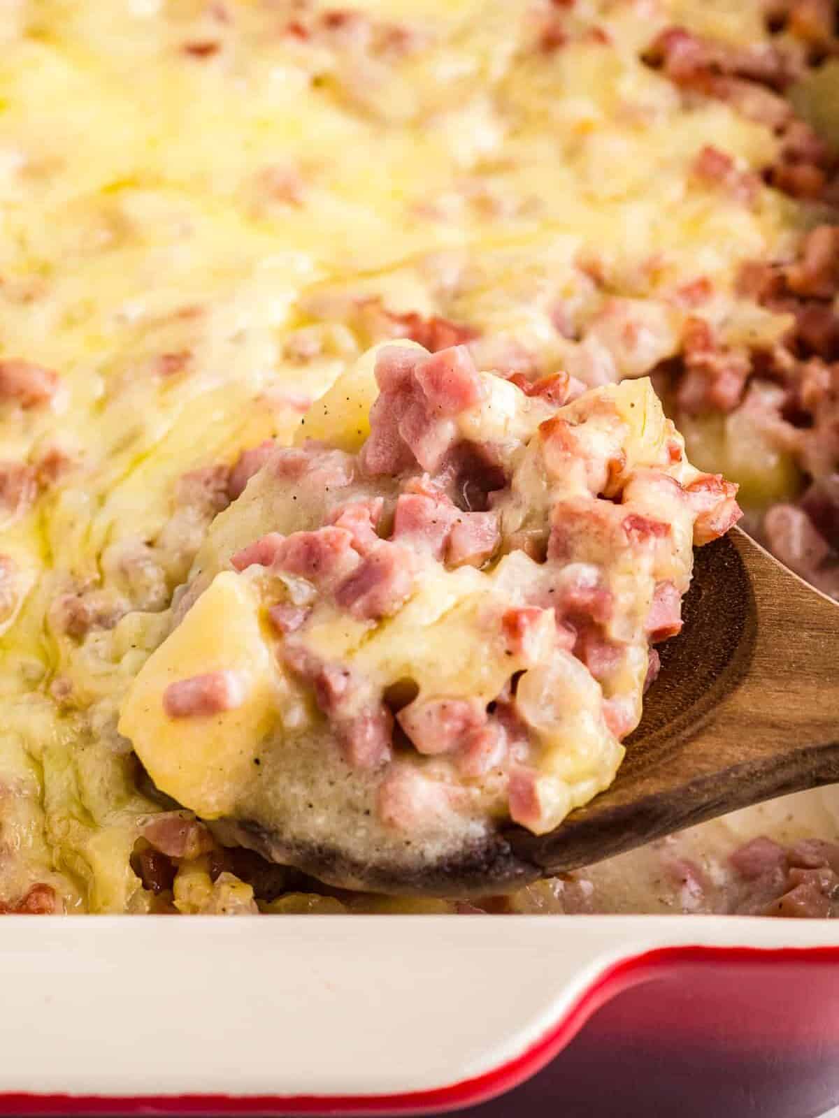 https://www.thecookierookie.com/wp-content/uploads/2023/04/ham-and-potato-casserole-recipe-5-edited.jpg