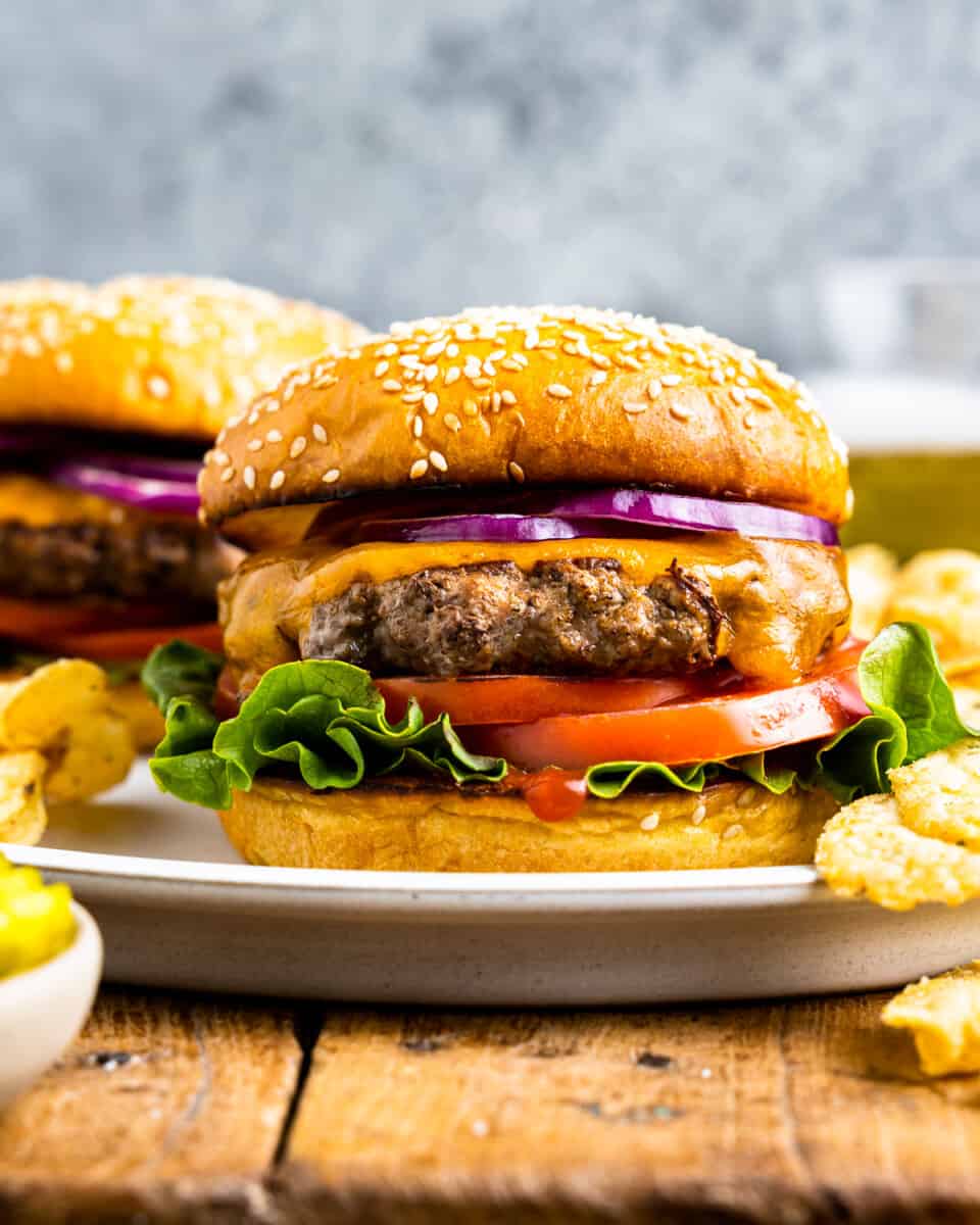 two stovetop burgers on a plate with potato chips.