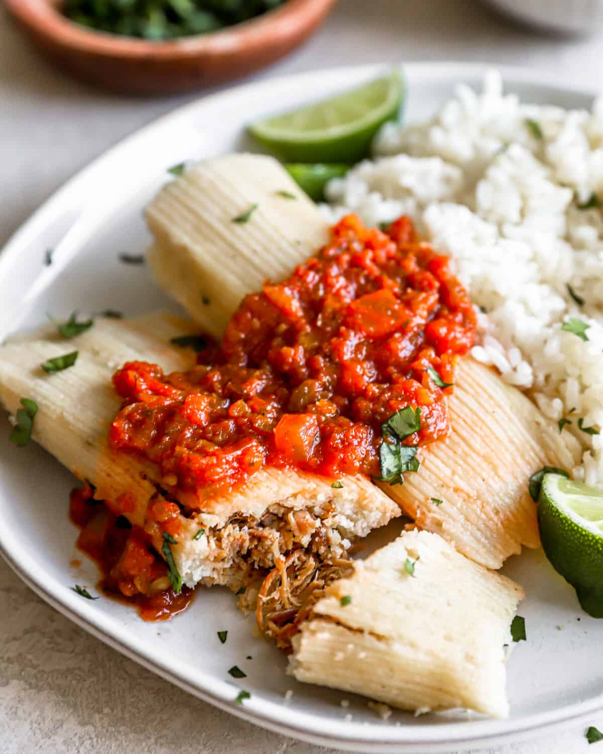 three-quarters view of 2 tamales on a white plate with cilantro rice and salsa, one tamale has been sliced into.