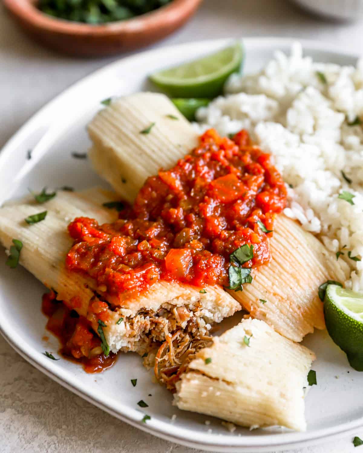 Traditional Corn Husk Tamales Recipe 