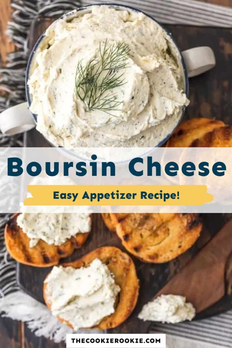 Boursin Cheese Recipe - The Cookie Rookie®