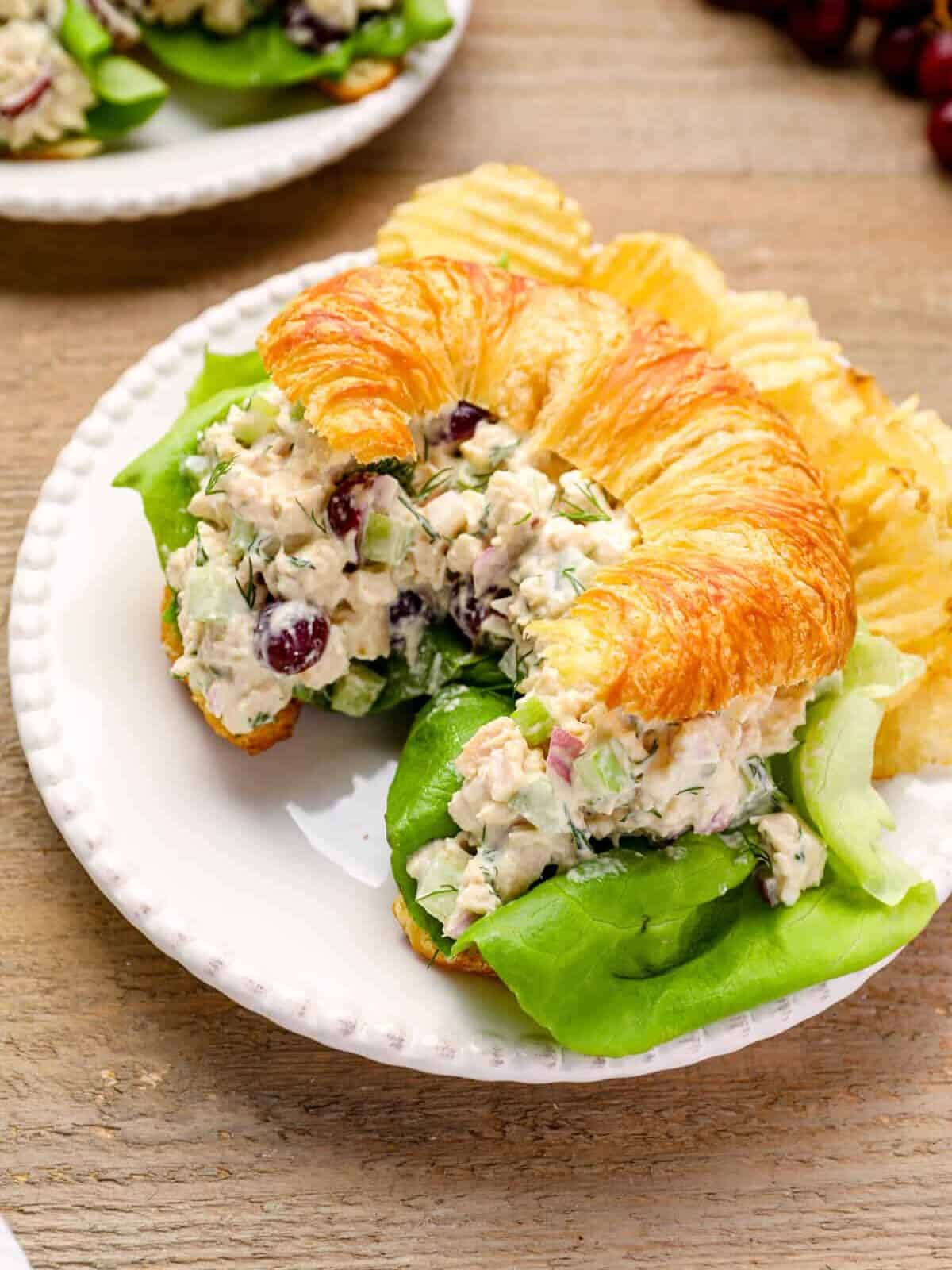 chicken salad on a croissant on a white plate.