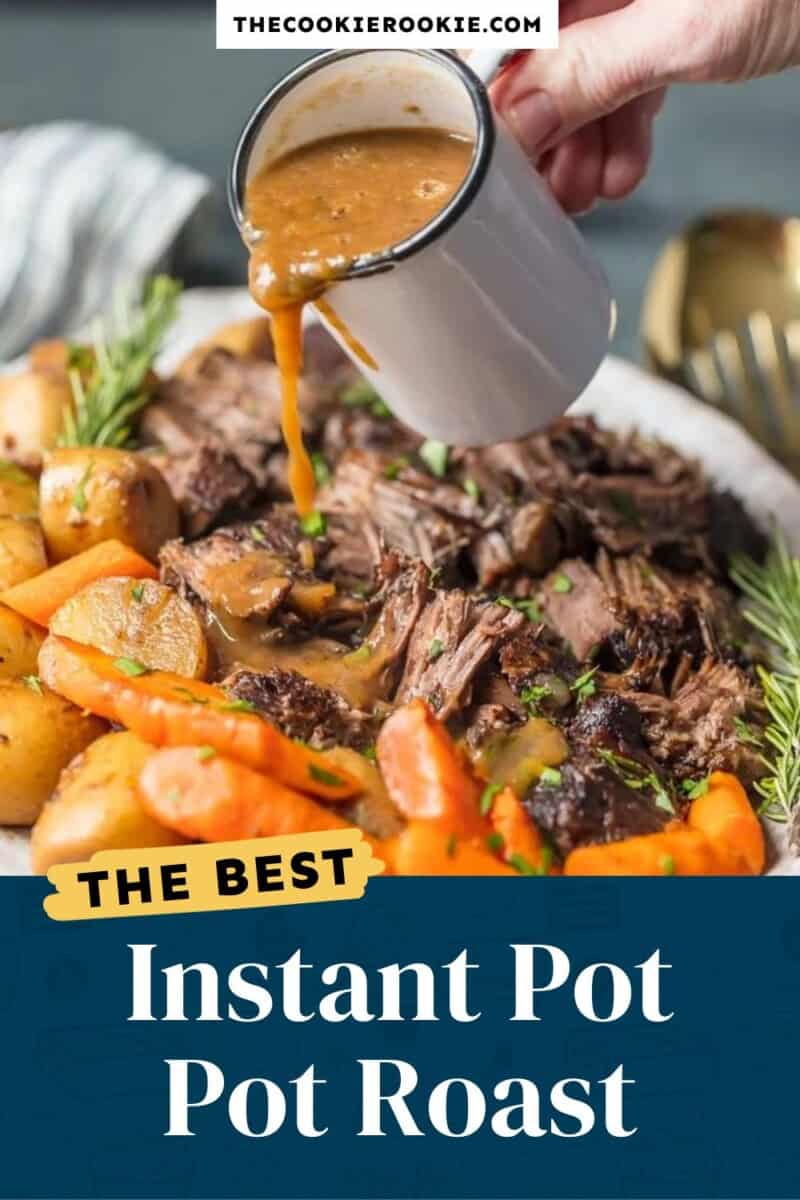 10 QT INSTANT POT  CHUCK ROAST DUO NOVA TEN QUART in ONE POT ROAST 