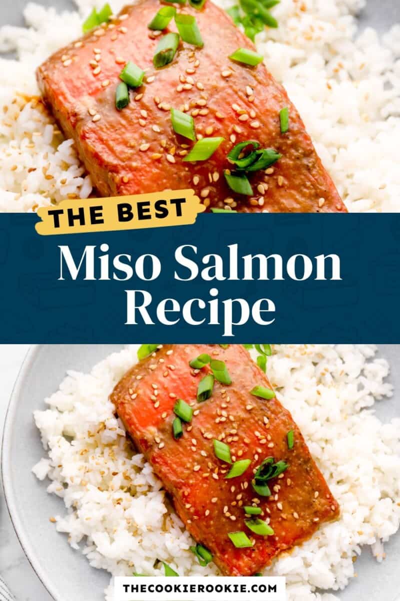 miso salmon pinterest