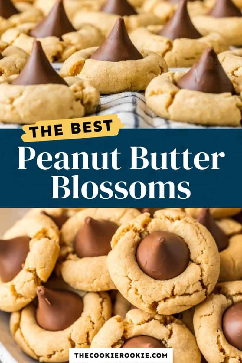 peanut butter blossoms pinterest