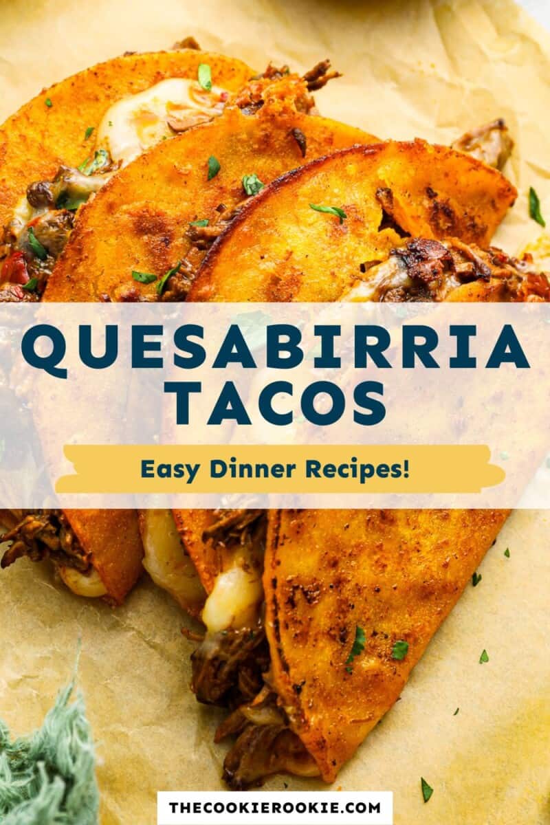 quesabirria tacos pinterest