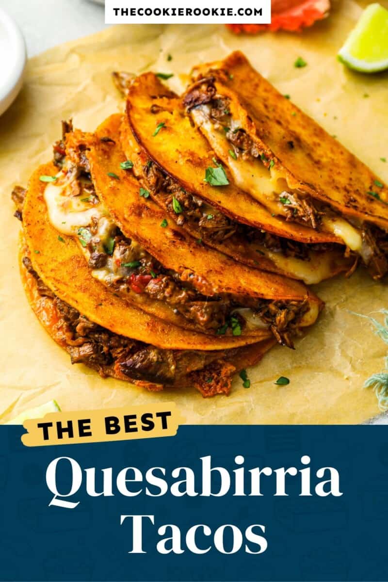 quesabirria tacos pinterest