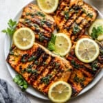 featured grilled salmon/