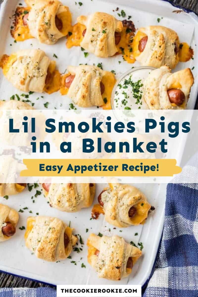 pigs in a blanket pinterest