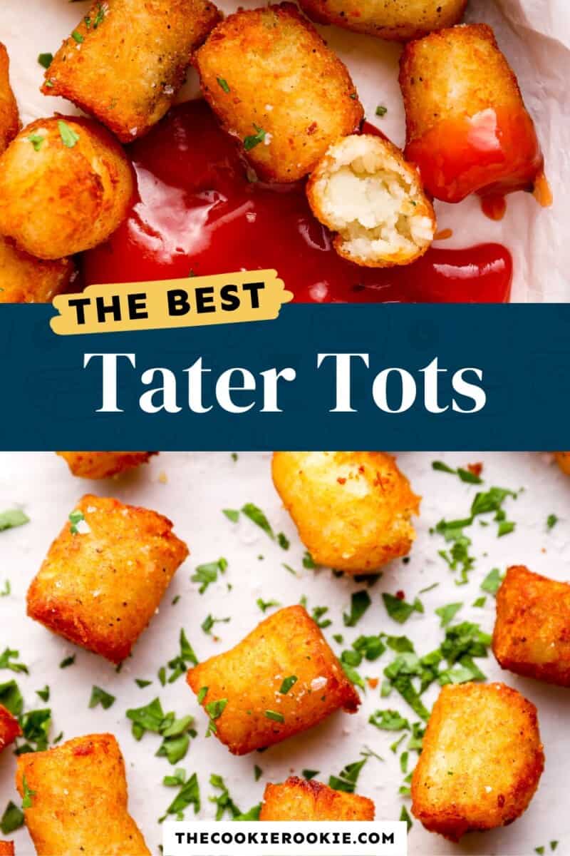 tater tots on a white plate with the text the best tater tots.
