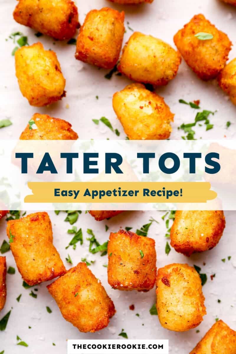 tater tots on a white plate with the text tater tots easy appetizer recipe.