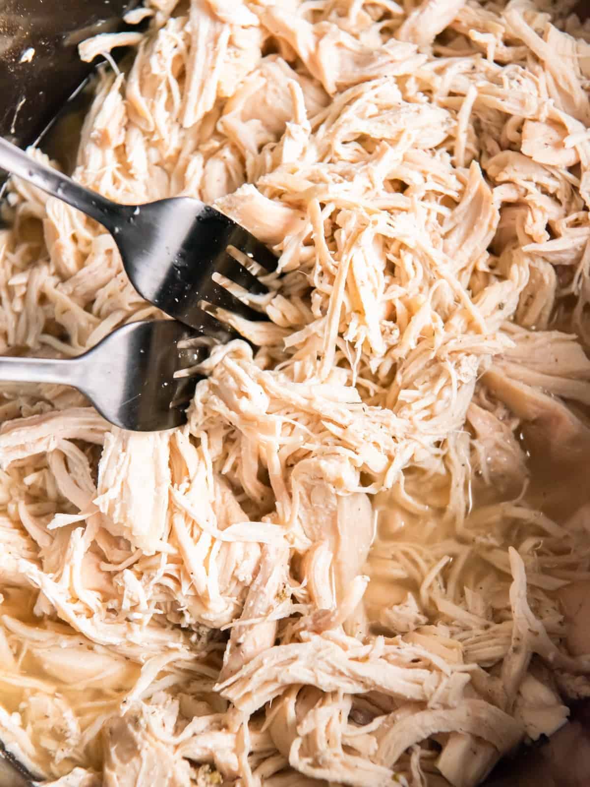 close up of shredded chicken in a crockpot with 2 forks.