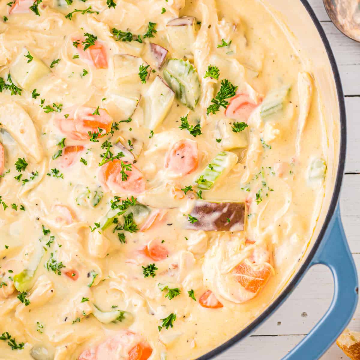 Creamy Chicken Stew Recipe