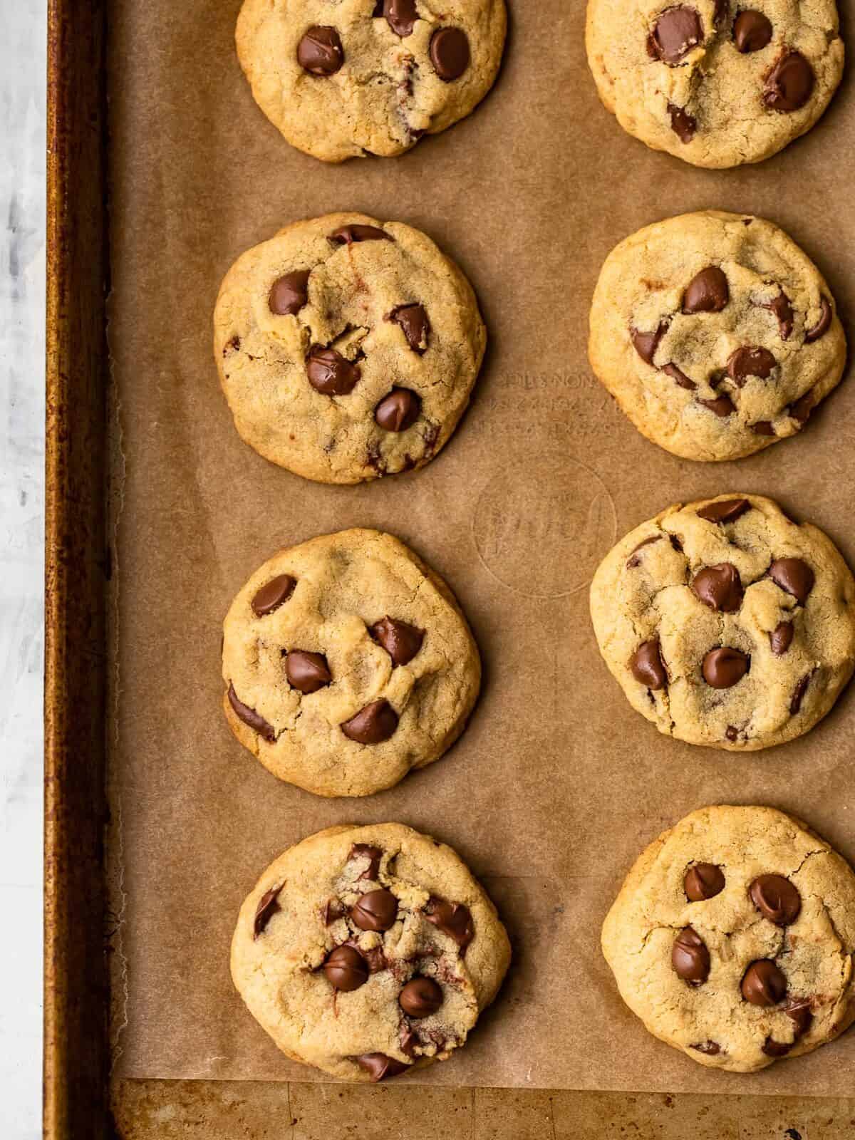 This Gluten Free Chocolate Chip Cookies recipe is super soft, moist, chewy, and delicious! Yes, you can make soft and chewy chocolate chip cookies without gluten, and boy are they good. Plus we added a special ingredient (it's cornstarch) to make them extra chewy. gluten free chocolate chip cookies arranged on a baking sheet