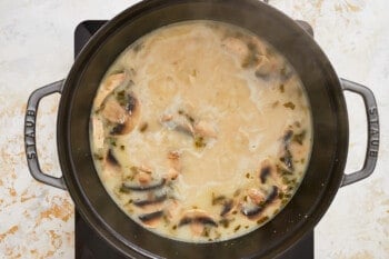 coconut milk added to chicken soup in a dutch oven.