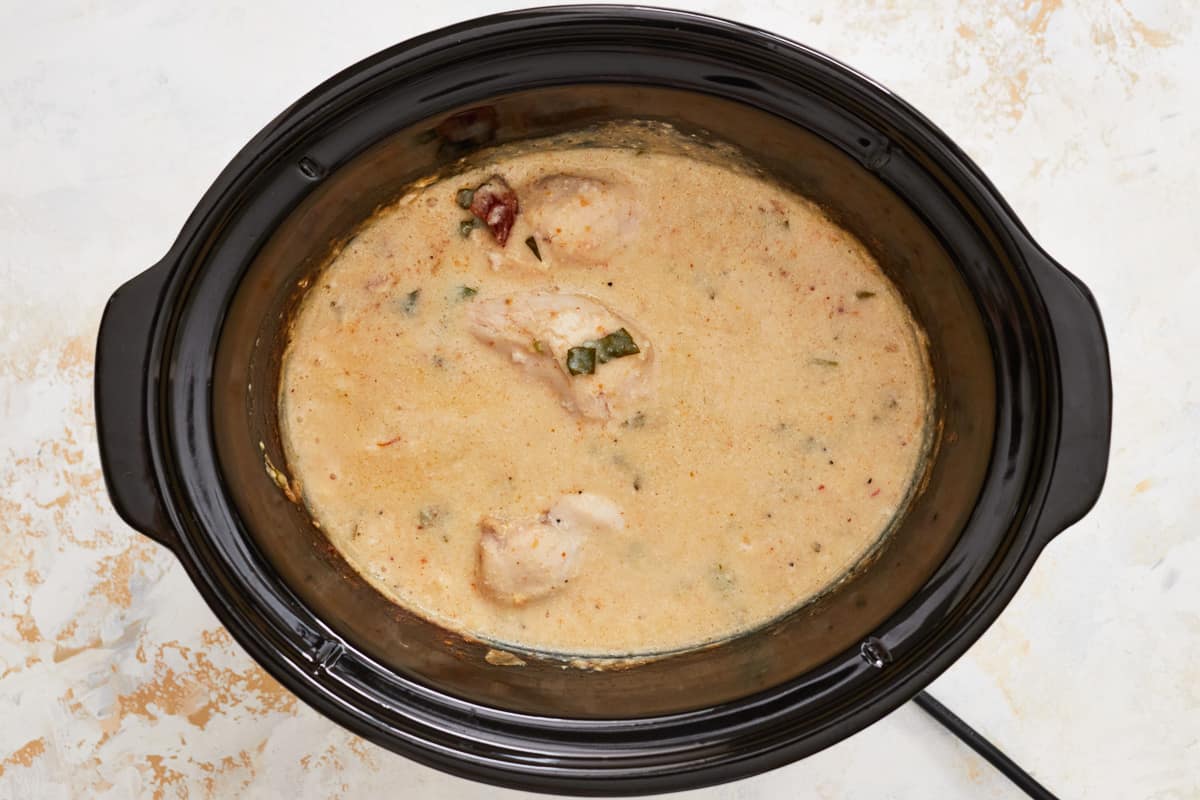 Chicken Alfredo Sandwich  Crockpot Recipe  - 43