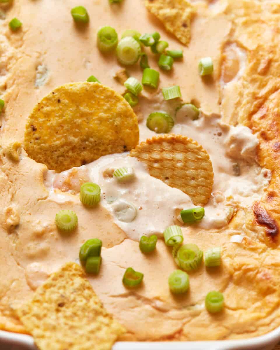 close up view of shrimp dip with a cracker and a tortilla chip sticking out of it.